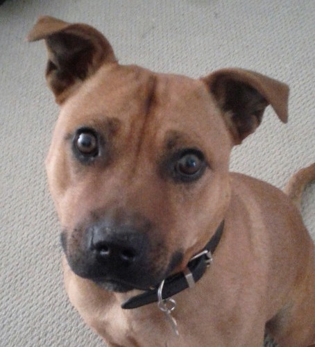 SimonB015's profile picture. 