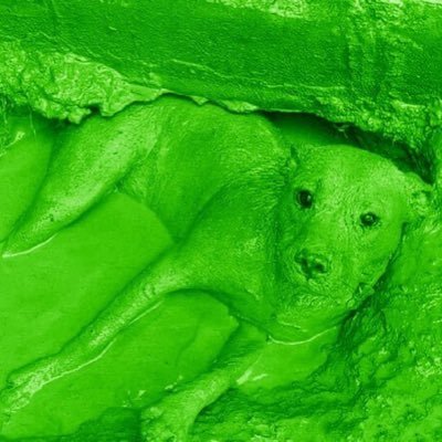 Stupid Green Dogさんのプロフィール画像