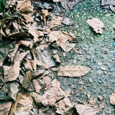 shige3848's profile picture. 美味しことが好き