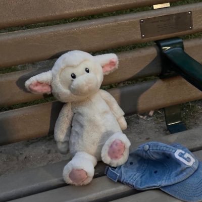 sxzvshms's profile picture. 