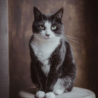 AldrichMyName's profile picture. HAPPY GO LUCKY 🎉 •Dancer •Dancefloor Royalties Team •20 🤘