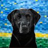 ArtMavenDesign's profile picture. Vibrant pet portraits with realistic pets & mosaic backgrounds. Cherish your furry friend forever—starting at $425. Supporting Interlochen dreams! 🥰🐶