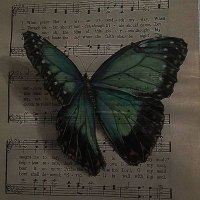 🦋 (@3mx_ms) Twitter profile photo