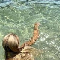 Fouplau (@fouplau5hgbv1) 's Twitter Profile