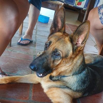 elias_ortizdbz's profile picture. 