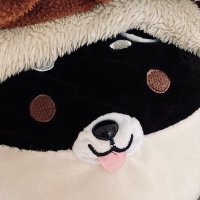 居候さん (@isouro2highland) 's Twitter Profile