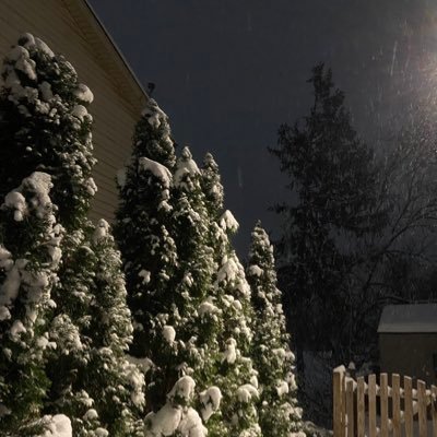 mbalfour11's profile picture. 