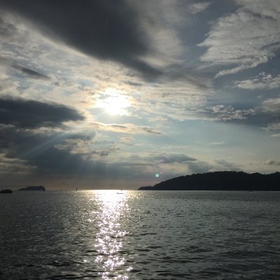 MarkRey41776374's profile picture. Truth is what I seek. Disinformation is only good for the weak.