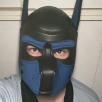 Anarki (@anarkidragon) 's Twitter Profile