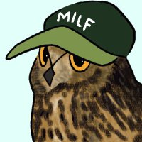 Liaowl🪶🌿💭 (@liaowlowl) Twitter profile photo