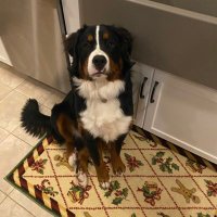 Anne (@annerose4444) 's Twitter Profile