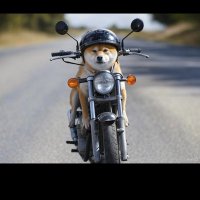 SRV400650 (@srv400650) 's Twitter Profile