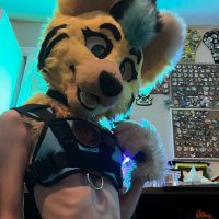 Knotty Folf π π FWA (@voan_zonead) 's Twitter Profile