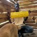 Wangolo Samuelamos (@samdogrescue) Twitter profile photo Wangolo Samuelamos (@samdogrescue) Twitter profile photo