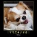 チワワのポテト🌈 (@welcomefuzi) Twitter profile photo チワワのポテト🌈 (@welcomefuzi) Twitter profile photo