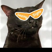 tHatguy (@sol_rookie) 's Twitter Profile