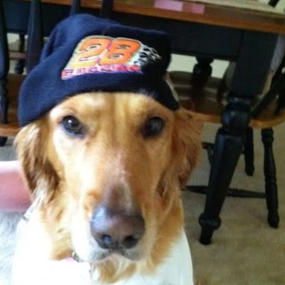 bruhbruhrobhuh's profile picture. 