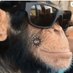 MONKEYBOY (@monkeyboy1117) Twitter profile photo MONKEYBOY (@monkeyboy1117) Twitter profile photo