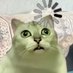 fc (@sss411777185868) Twitter profile photo fc (@sss411777185868) Twitter profile photo