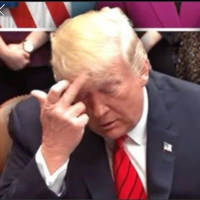 buchovik's profile picture. Boomer and still pure blood