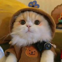Estrella🍥 (@lhoy440777) 's Twitter Profile Photo Estrella🍥 (@lhoy440777) 's Twitter Profile Photo