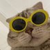 The World of Meows (@explorecats) Twitter profile photo The World of Meows (@explorecats) Twitter profile photo