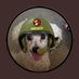 Sue & Sergeant Mickey (@kodi_sue_mickey) Twitter profile photo Sue & Sergeant Mickey (@kodi_sue_mickey) Twitter profile photo