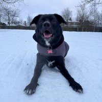 Cathy Jones (@cathy_jones_5) 's Twitter Profile Photo Cathy Jones (@cathy_jones_5) 's Twitter Profile Photo