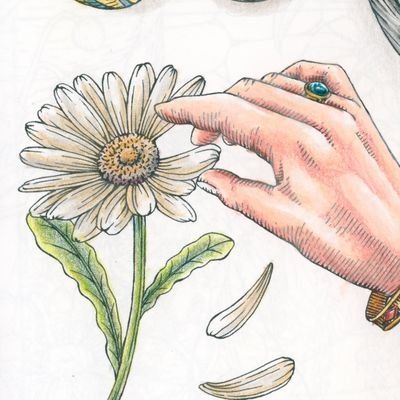 ぬりえや森などの綿棒さんのプロフィール画像