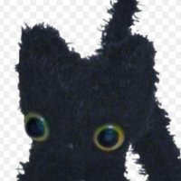 ⋆𖦹.‧₊˚⊹ meow ‧₊˚⊹ ⋆𖦹. (@meow_kitty02) 's Twitter Profile