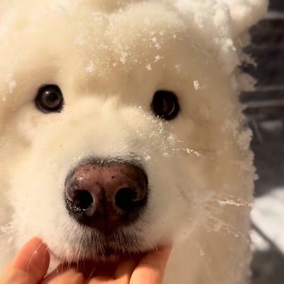 addisonxo7's profile picture. 