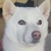 appleeeeeee (@meronnono) Twitter profile photo appleeeeeee (@meronnono) Twitter profile photo