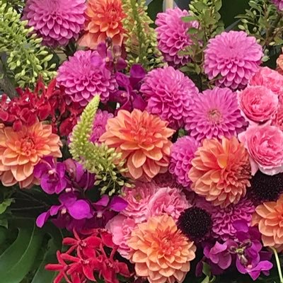 mini_Tang28's profile picture. 