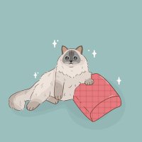 jeci ✨ (@promcito) 's Twitter Profile Photo jeci ✨ (@promcito) 's Twitter Profile Photo
