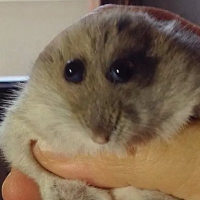 Cosmarsさんのプロフィール画像