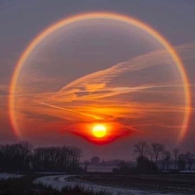 titiraif's profile picture. 