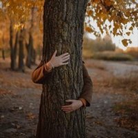 Usha Vishwakarma 🌱📚 🍀 (@lightseekerusha) 's Twitter Profile Photo