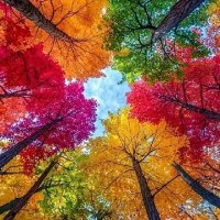 Loredana Vecchio (@loredanave39263) 's Twitter Profile Photo Loredana Vecchio (@loredanave39263) 's Twitter Profile Photo