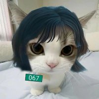 jeiiπ|| ππππ ππ ππππππ πππ βοΈ (@minwoojin8_) 's Twitter Profile