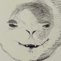 sweet minkerino (@tuunbaqussy) 's Twitter Profile Photo