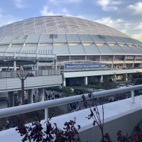 カケドラ (@nnpnsj4oqo1305) Twitter profile photo