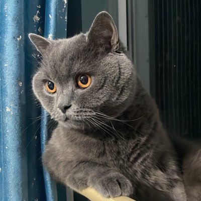 Mihaiyzi's profile picture. #EchteLiebe 💛