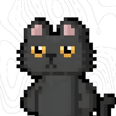 namedans's profile picture. 