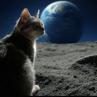 DeltaViewMS (@deltaviewms) 's Twitter Profile