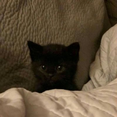 grits_07's profile picture. ⸝⸝⸝ 🍮🕯️✧༚𝗠𝗮𝗸𝗲 𝗙𝗿𝗶𝗲𝗻𝗱𝘀 - 𝗗𝗺 ⋆｡˚⤾👛