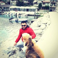 KutupYıLdızı (@qutup_yildizi) 's Twitter Profile
