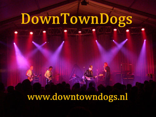 Dutch Classic rock/ pop/ soul/ 
blues coverband:  DownTownDogs