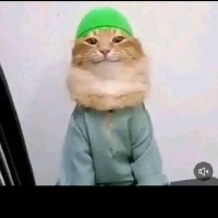 MØHÀMÈD KHÂŁ3D (@mokhaledpppp598) 's Twitter Profile