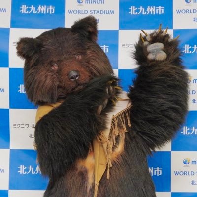 ぬいたち🐾着ぐるみ作り方＆遊び方本固定ツイで通販中さんのプロフィール画像