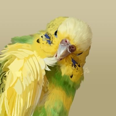 鳩饅頭@ほっぺ様の下僕さんのプロフィール画像